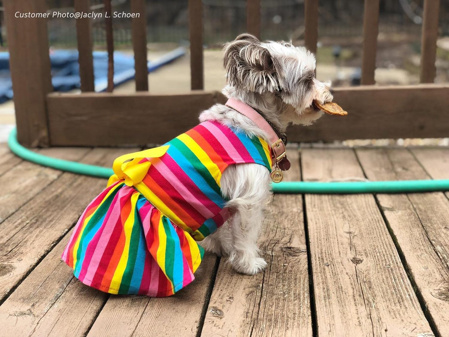 Striped Dog Dress, Summer Dog Clothes for Small Dogs Girl, Pet Cat Outfit, 100% Breathable Cotton, Yellow, Small