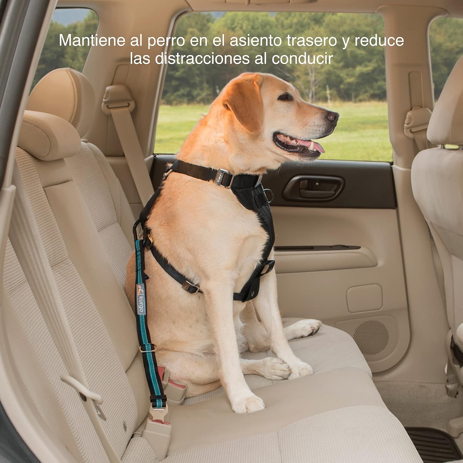 Direct to Seat Belt Tether for Dogs, Universal Car Seat Belt for Pets, Adjustable Length Dog Safety Beltquick & Easy Installation